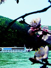 Danube River Cruise